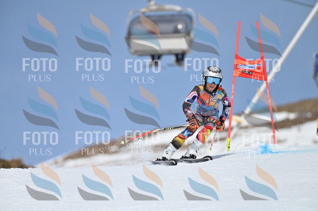 BGV_1002 | holidayphoto