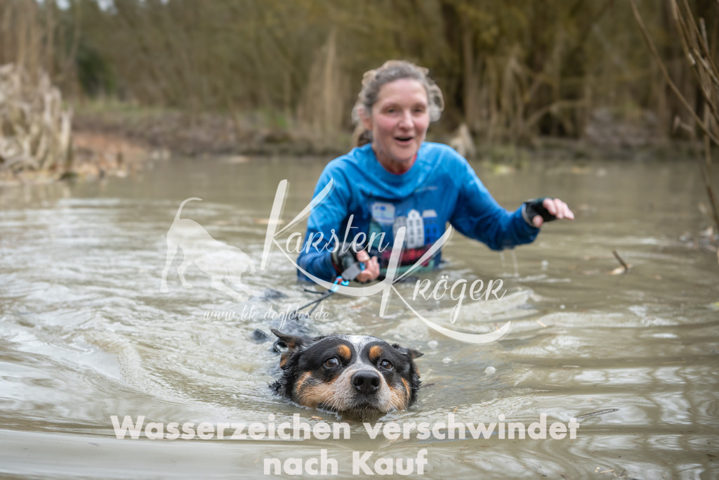 1519_ZZ92822 | kk-dogfotos