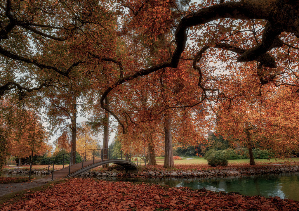 A6700290-Bearbeitet-Bearbeitet-Bearbeitet-Bearbeitet-Bearbeitet | Landschaftsfotografien und Naturfotografien (Schweiz, Europa) auf Leinwand, Postkarten und Poster. Wähle dein Lieblingsfoto und entscheiden selber, welches Fotoprodukt du bestellen willst. Grosse Auswahl an Karten zum Versenden und Verschenken. - Realisiert mit Pictrs.com