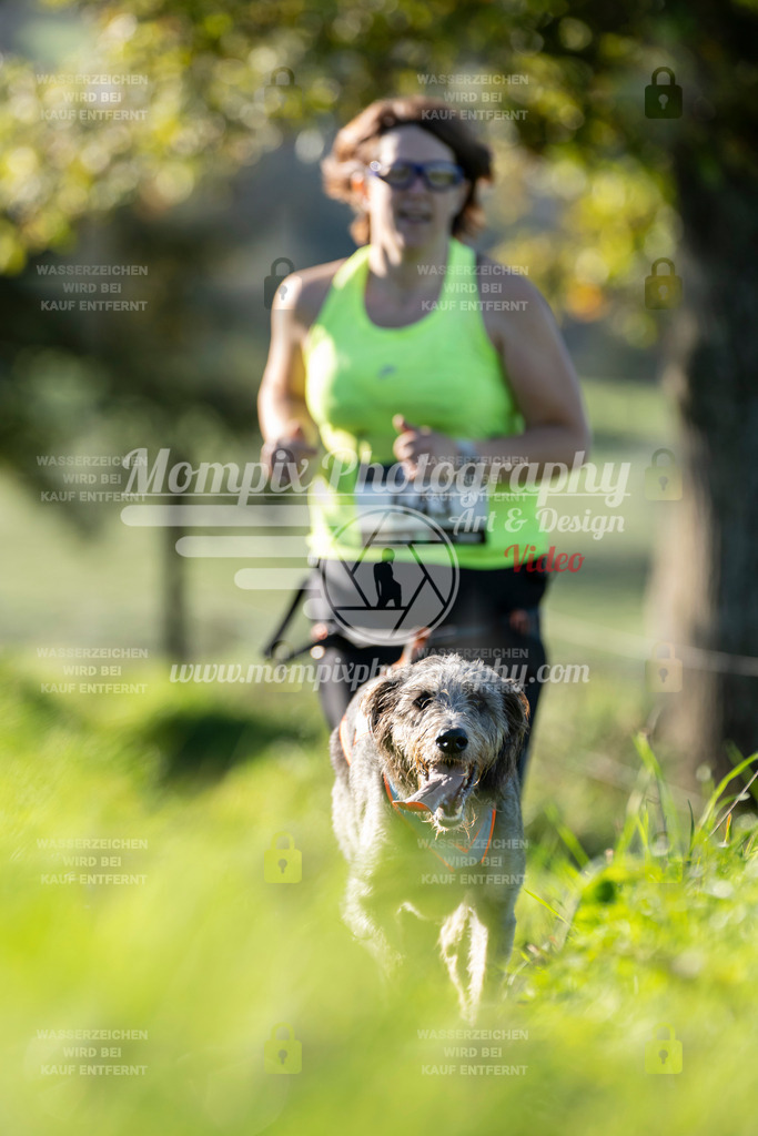 MompixPhotography_20TSB_E3_Run-151 | PayLife