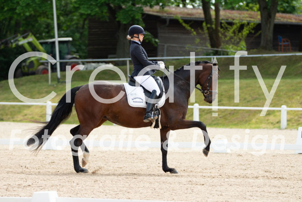 IMG_0480 | Creatify Fotografie