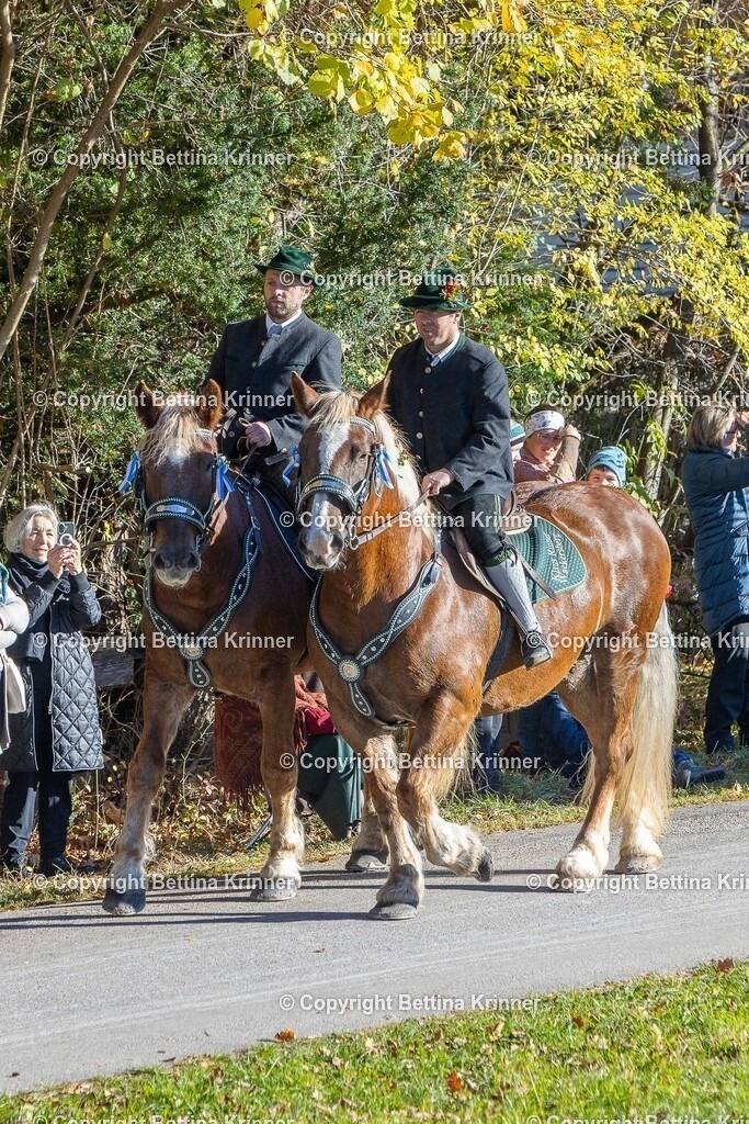 LBT25-98 | foto-bettina-krinner - Realisiert mit Pictrs.com