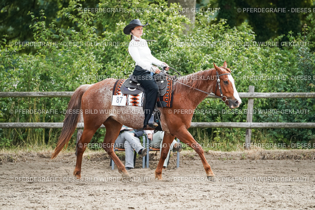 DSC04424 | Pferdegrafie