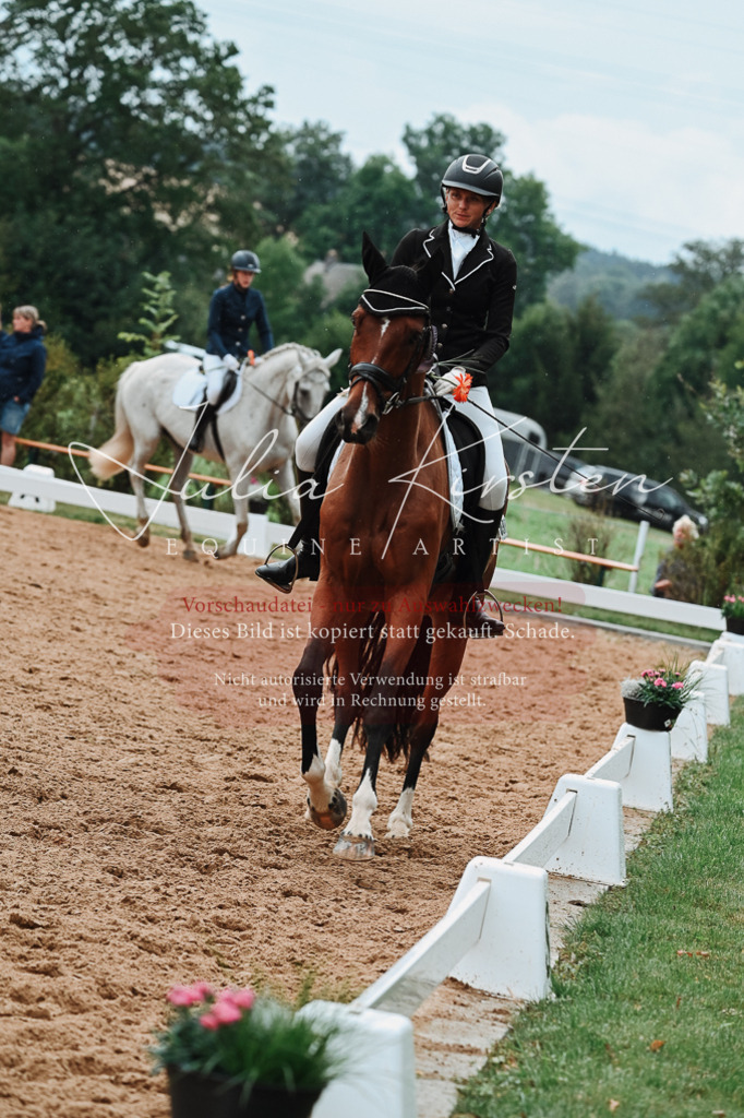 DSC_7285 | Pferde- und Turnierfotografie in Westsachsen. Pferdeportraits, Auftragszeichnungen und intuitive Kunst.