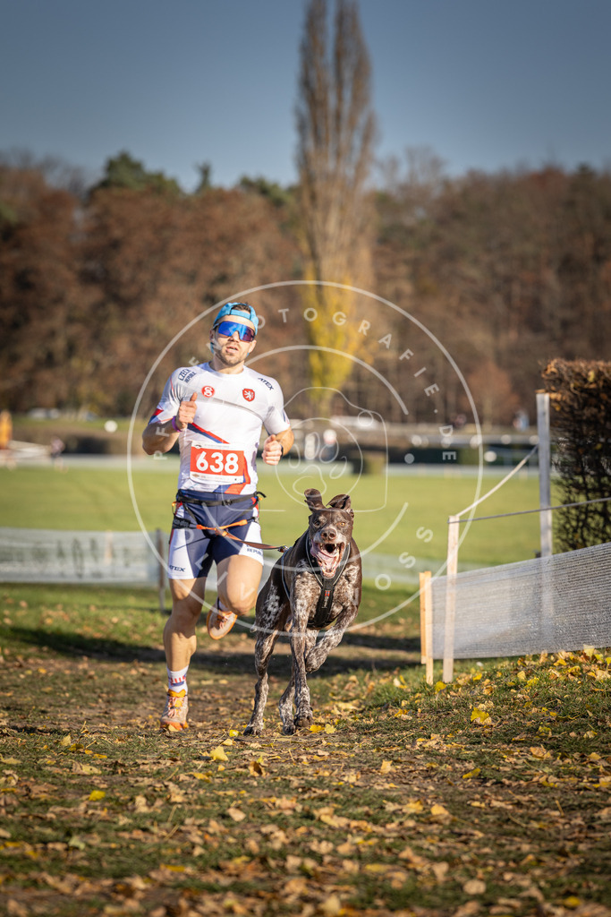 CaniXpix_DV3A0265 | Hundefotografie, Tierfotograf, Pfotenfotografie, Fotoshooting Hund, Hunde Portrait, Hundesport, Hundeportraits, Heideshooting, Hunde, Sportfotograf, Hundefotograf, Turnierhundsport, THS,  - Realisiert mit Pictrs.com