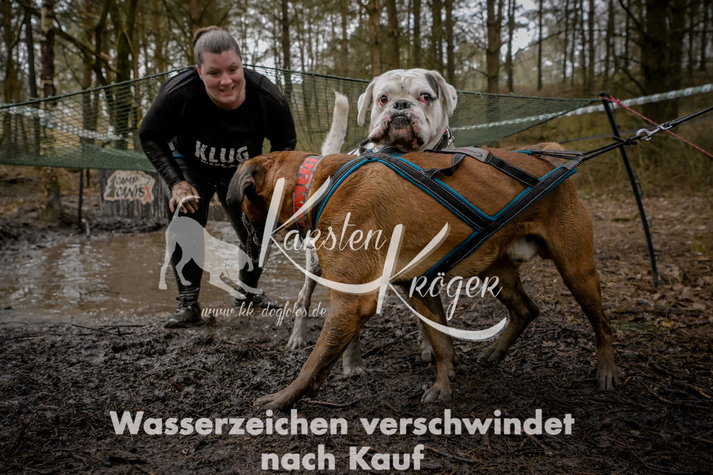 0932_ZZ98086 | kk-dogfotos