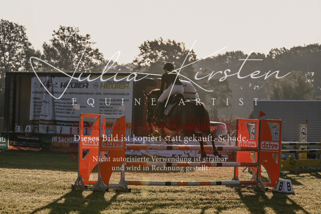 DSC_3791 | Pferde- und Turnierfotografie in Westsachsen. Pferdeportraits, Auftragszeichnungen und intuitive Kunst.