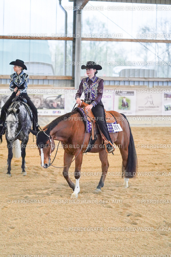 DSC08880 | Pferdegrafie