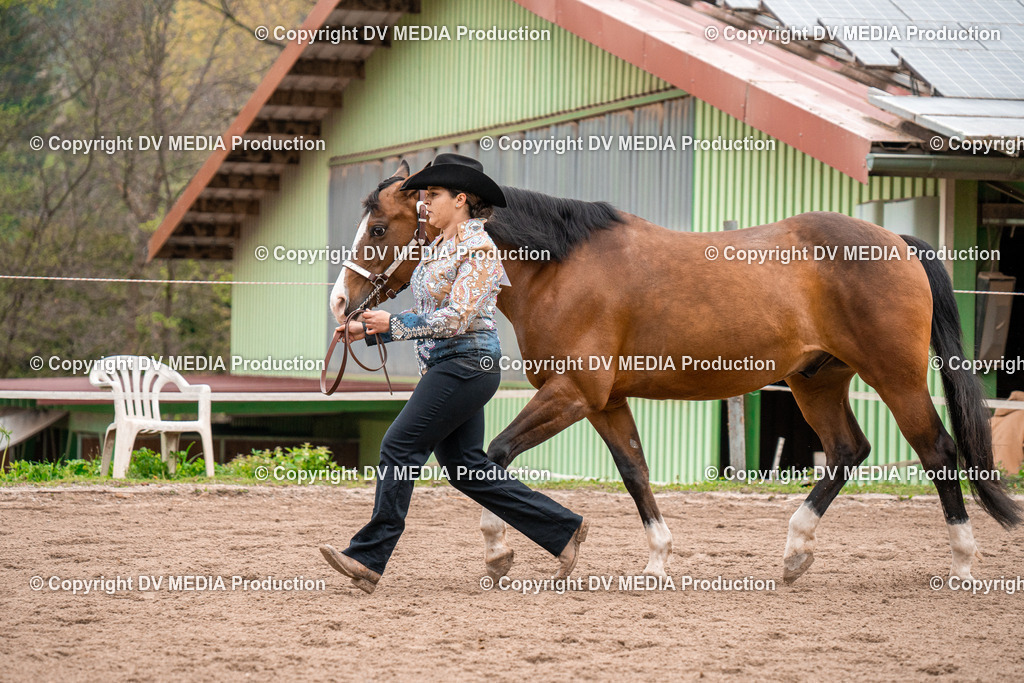 BA300150 | dv-media-shop - Realisiert mit Pictrs.com