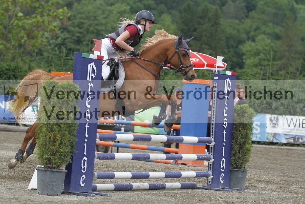 _MG_5267 | equestrian-live-com