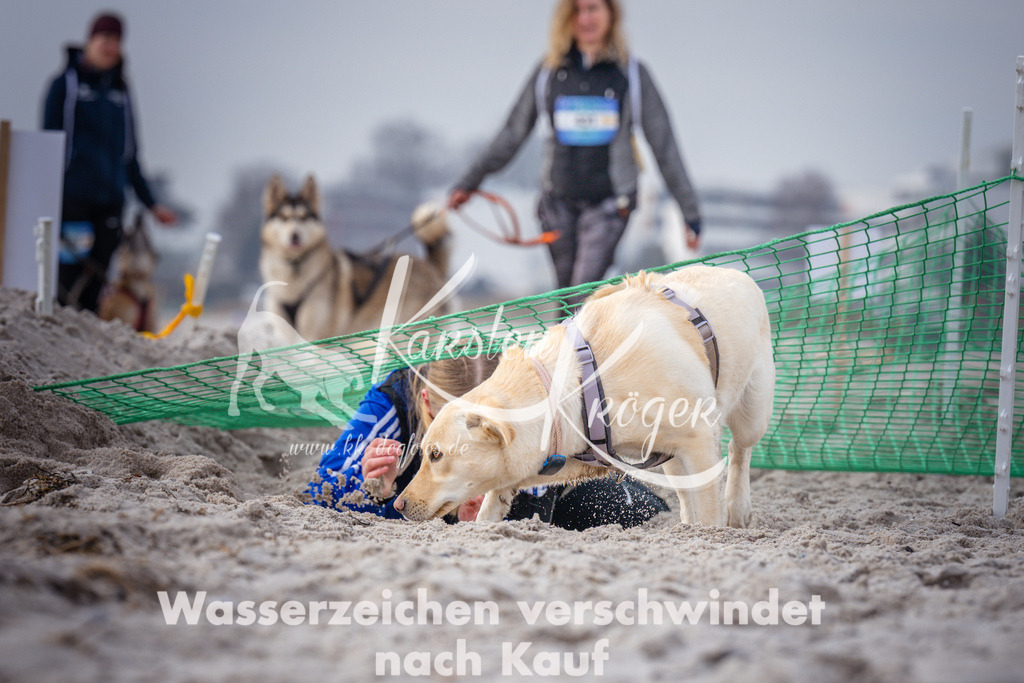 1124_ZZ98761 | kk-dogfotos