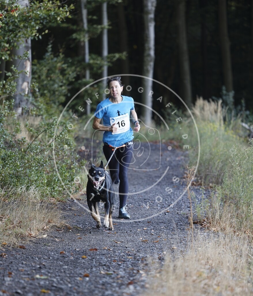 0L8A1434 | Hundefotografie, Tierfotograf, Pfotenfotografie, Fotoshooting Hund, Hunde Portrait, Hundesport, Hundeportraits, Heideshooting, Hunde, Sportfotograf, Hundefotograf, Turnierhundsport, THS,  - Realisiert mit Pictrs.com