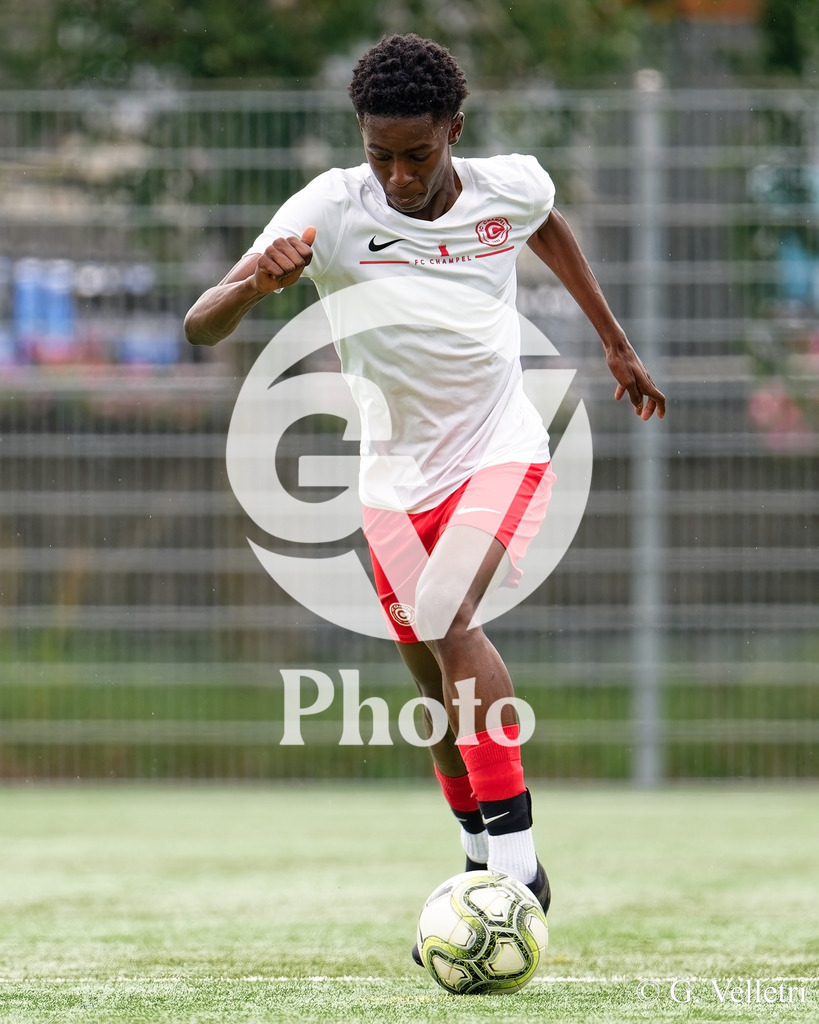 DSC_6725 | Velletri Photo