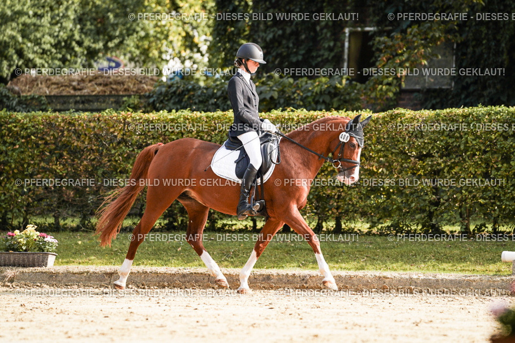 DSC05817 | Pferdegrafie