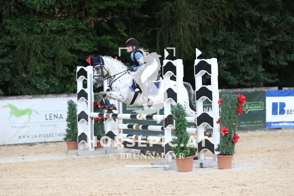 DL2Q0800 | Willkommen bei Brunnmayr - Design & Fotografie – Ihrem Spezialisten für Reitturniere und Pferdeveranstaltungen in Oberösterreich, Salzburg und Bayern! Seit über 17 Jahren sind wir leidenschaftlich dabei.