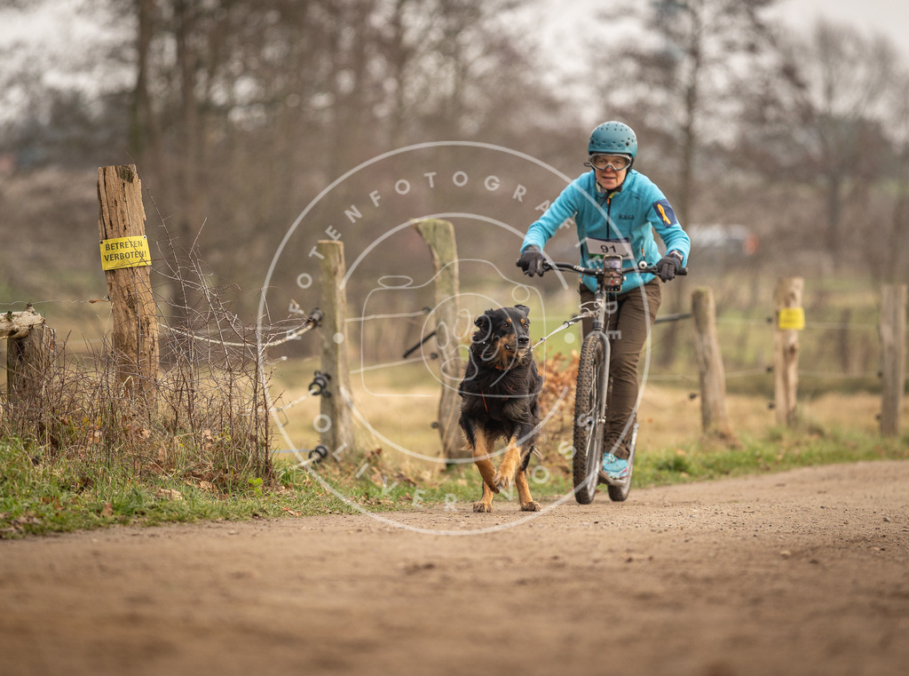 Pfotenfotografie_DV3A4249 | Hundefotografie, Tierfotograf, Pfotenfotografie, Fotoshooting Hund, Hunde Portrait, Hundesport, Hundeportraits, Heideshooting, Hunde, Sportfotograf, Hundefotograf, Turnierhundsport, THS,  - Realisiert mit Pictrs.com