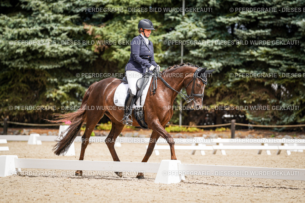 DSC03870 | Pferdegrafie