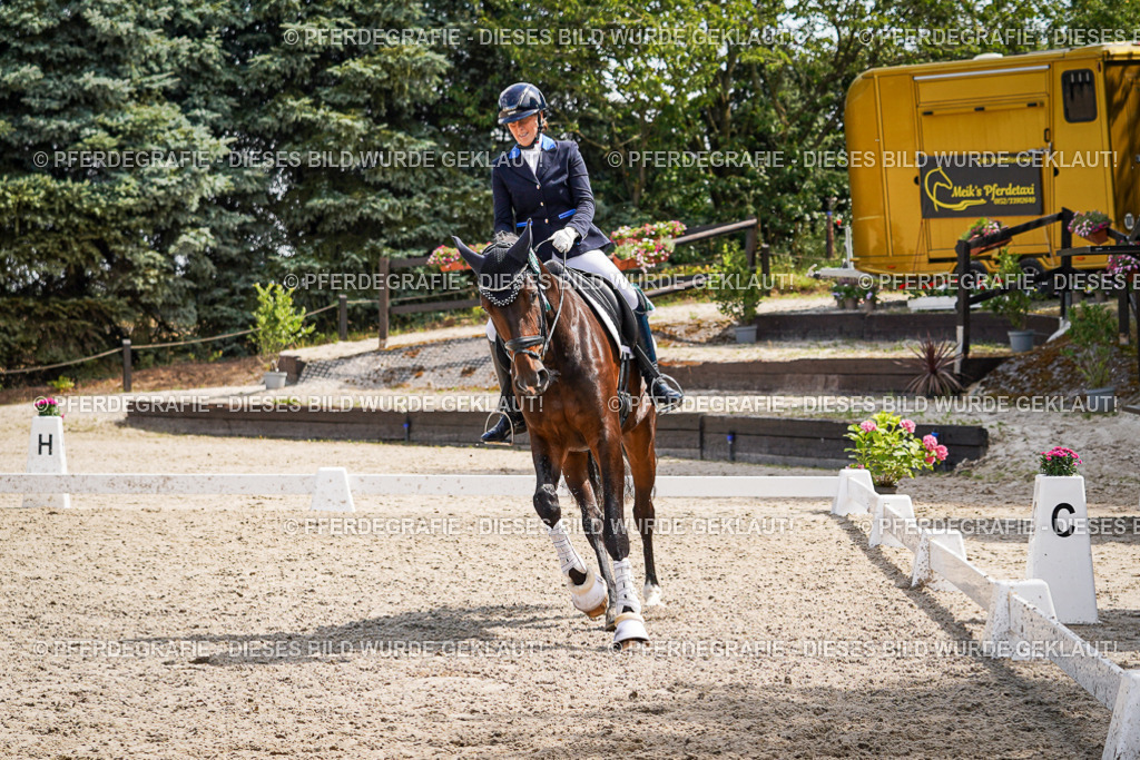 DSC09778 | Pferdegrafie