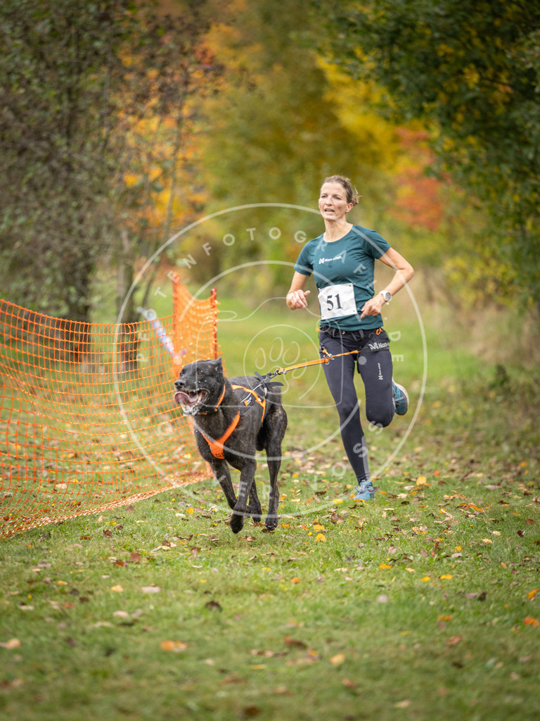 Pfotenfotografie_DV3A2482 | Hundefotografie, Tierfotograf, Pfotenfotografie, Fotoshooting Hund, Hunde Portrait, Hundesport, Hundeportraits, Heideshooting, Hunde, Sportfotograf, Hundefotograf, Turnierhundsport, THS,  - Realisiert mit Pictrs.com