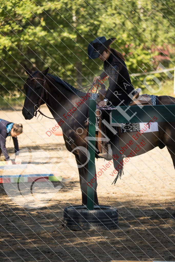 IMG_7247 | Sport-, Event- und Tierfotos in Profiqualität. Einfach auswählen, bestellen und herunterladen. Dein Moment – perfekt festgehalten.