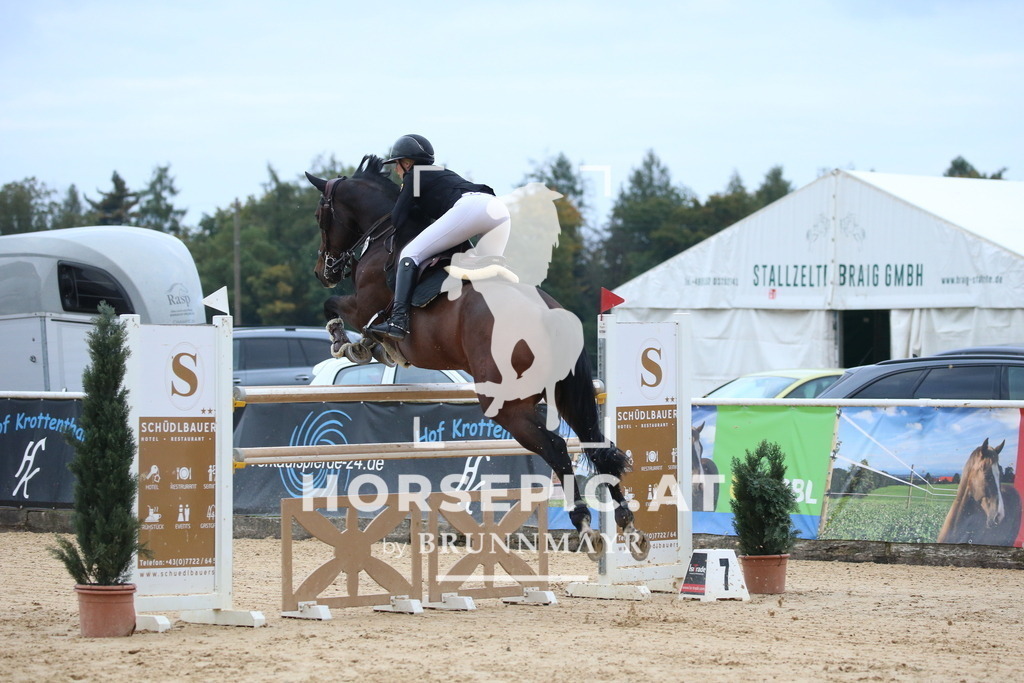 DL2Q6243 | Willkommen bei Brunnmayr - Design & Fotografie – Ihrem Spezialisten für Reitturniere und Pferdeveranstaltungen in Oberösterreich, Salzburg und Bayern! Seit über 17 Jahren sind wir leidenschaftlich dabei.