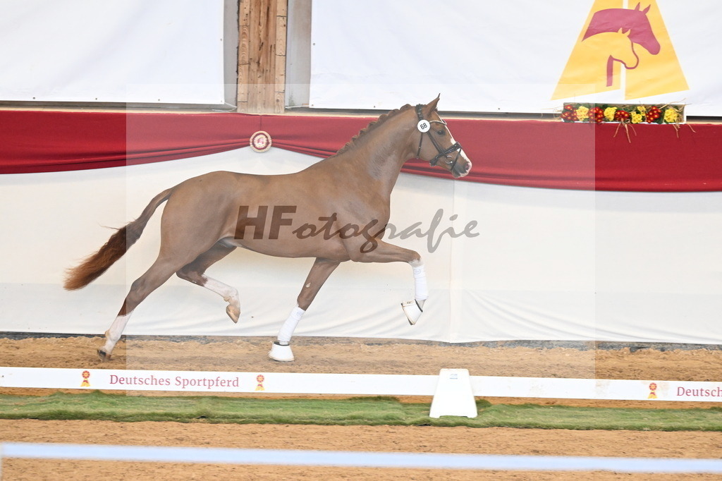 Kat.-Nr. 68 v. Juwel_Westhoff _ Rothenberger_3260824 | hf-fotografie - Realisiert mit Pictrs.com
