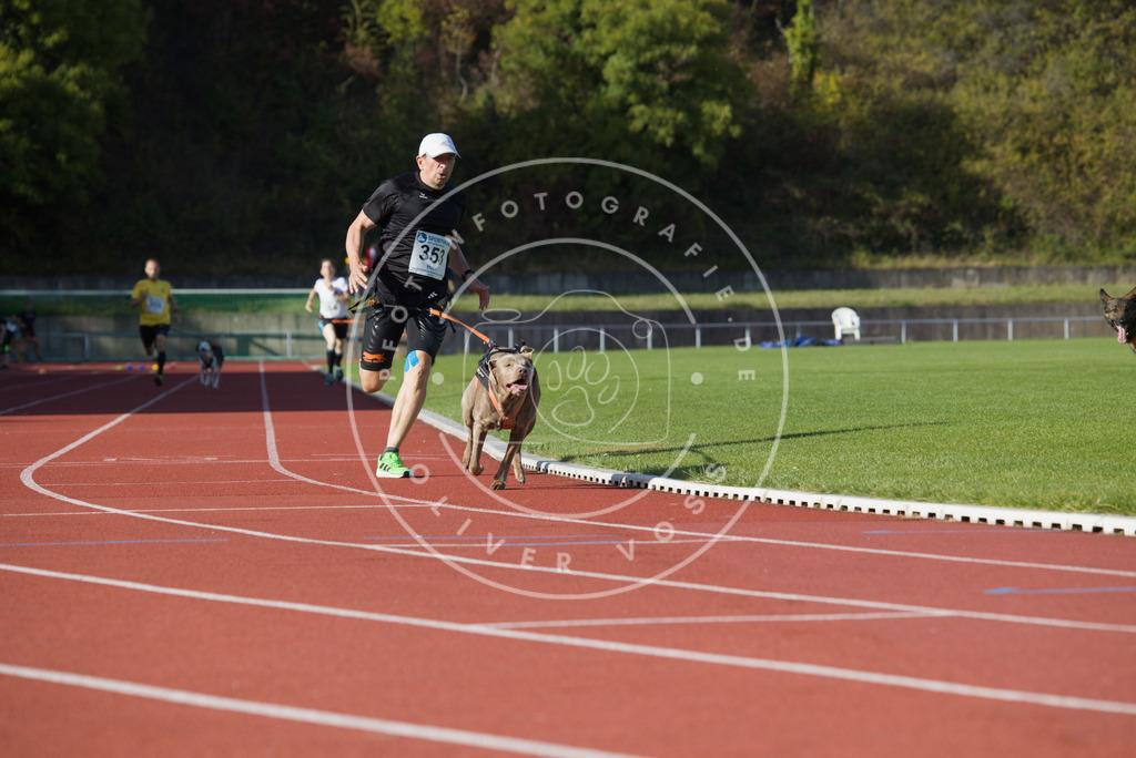 0L8A0137 | Hundefotografie, Tierfotograf, Pfotenfotografie, Fotoshooting Hund, Hunde Portrait, Hundesport, Hundeportraits, Heideshooting, Hunde, Sportfotograf, Hundefotograf, Turnierhundsport, THS,  - Realisiert mit Pictrs.com