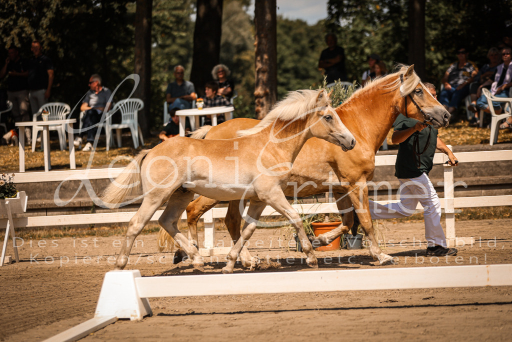 06.DoH00006 | Leoni Ertmer Photography - Realisiert mit Pictrs.com