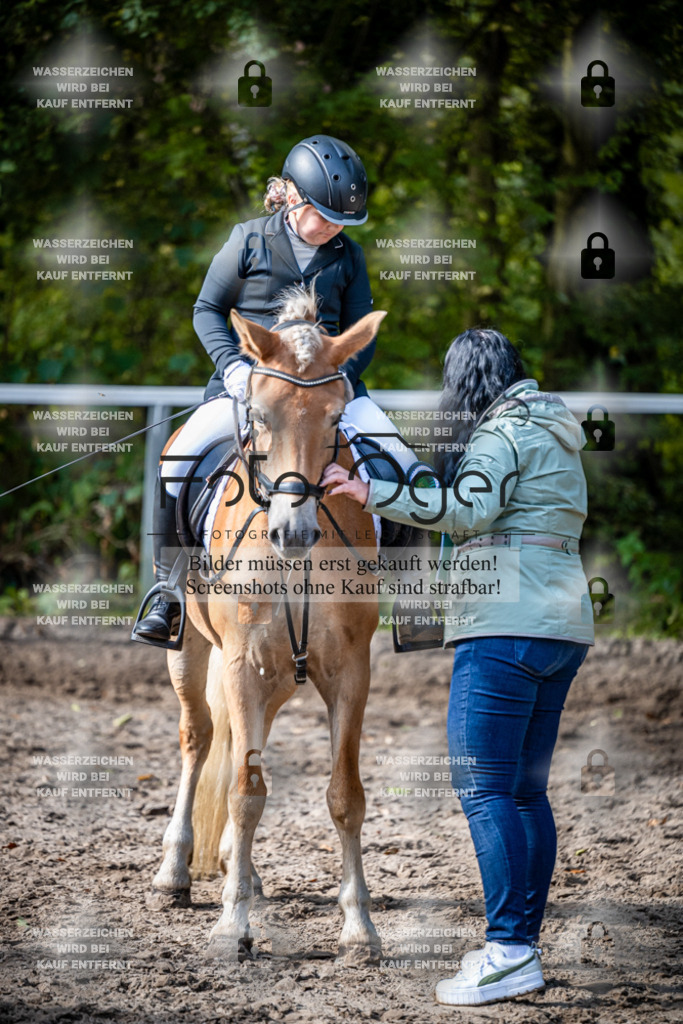 2026-10-Helle-20-4-0061 | Entdecke hochwertige Reitturnierfotos von Foto Oger. Professionell, emotional und authentisch – jetzt Lieblingsmomente im Shop bestellen.Deutschlandweite Turnierfotografie. - Realisiert mit Pictrs.com