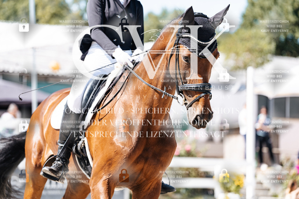 CK909775 | Turnierfotografie Pferdefotografie Trier Rheinland-Pfalz Pferdesport Reitsport Tierfotografie Sportfotografie Pferdevideo Pferdevideografie Equestrianvideography equestrianphotography  - Realisiert mit Pictrs.com