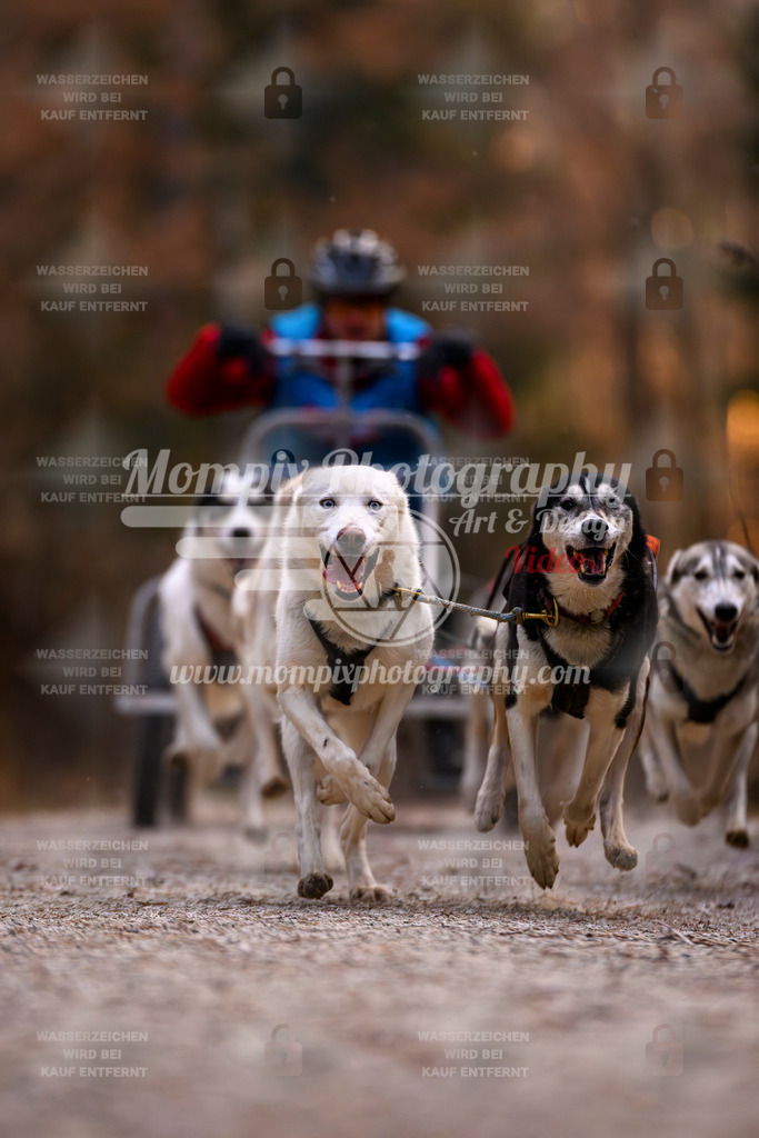 MompixPhotography_DM_AKDM_SO_2025_Wagen-27 | PayLife