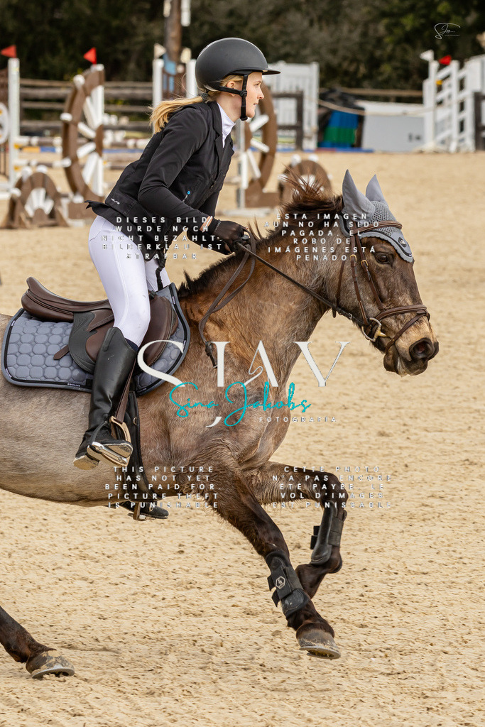 IMG_4534 | s-jay-photography - Realisiert mit Pictrs.com