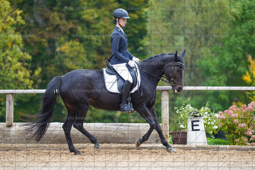 20221008-FAH00933 | Diessen am Ammersee, 2022, Dressur- und Springturnier, Reitsportbilder, Turnierfotografen Bayern, Pferdefotografen, Fotoagentur Herrmann, Turnierbilder