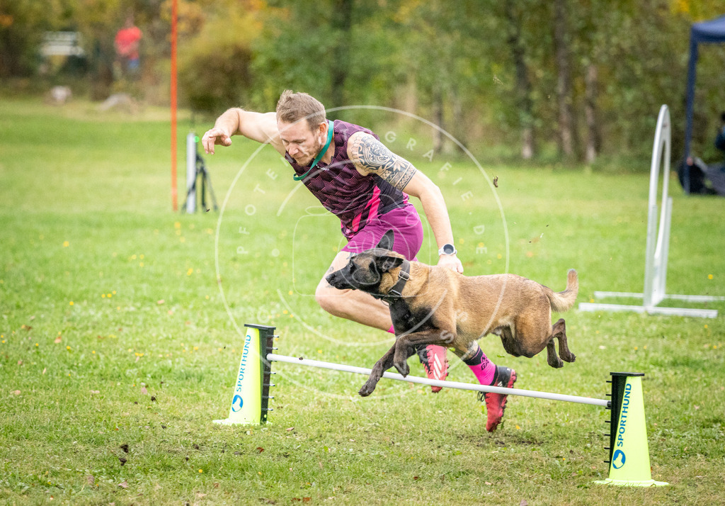 Pfotenfotografie_DV3A0817 | Hundefotografie, Tierfotograf, Pfotenfotografie, Fotoshooting Hund, Hunde Portrait, Hundesport, Hundeportraits, Heideshooting, Hunde, Sportfotograf, Hundefotograf, Turnierhundsport, THS,  - Realisiert mit Pictrs.com