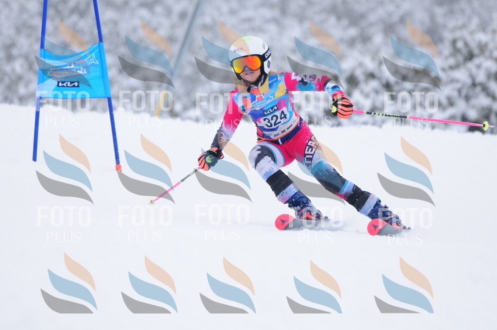 C3455 | holidayphoto