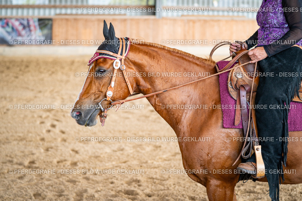 DSC09097 | Pferdegrafie