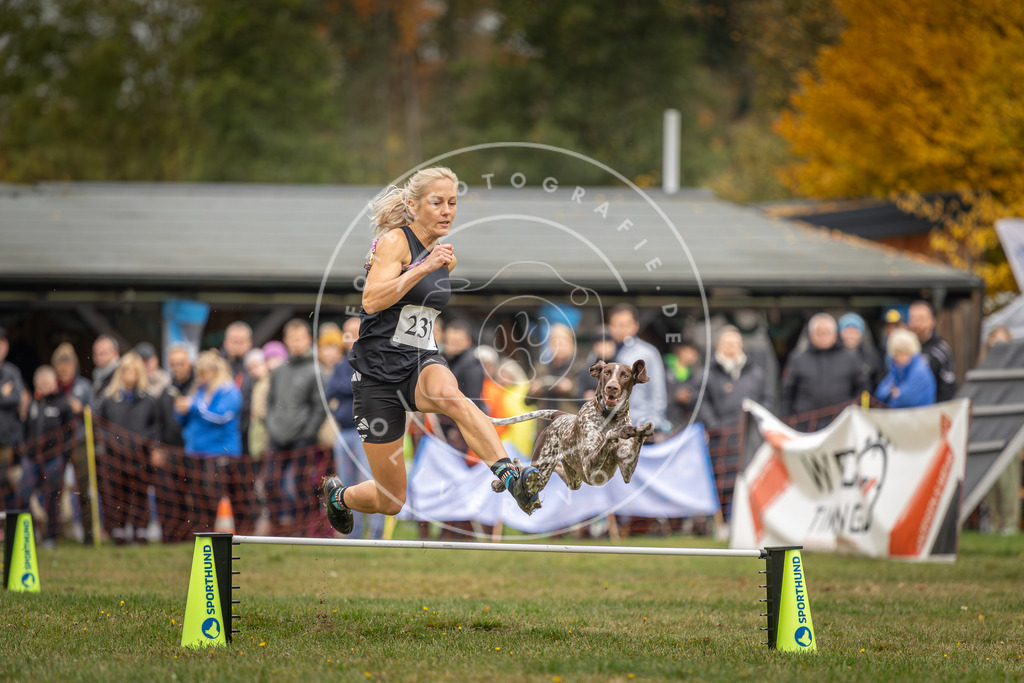 Pfotenfotografie_DV3A3326 | Hundefotografie, Tierfotograf, Pfotenfotografie, Fotoshooting Hund, Hunde Portrait, Hundesport, Hundeportraits, Heideshooting, Hunde, Sportfotograf, Hundefotograf, Turnierhundsport, THS,  - Realisiert mit Pictrs.com