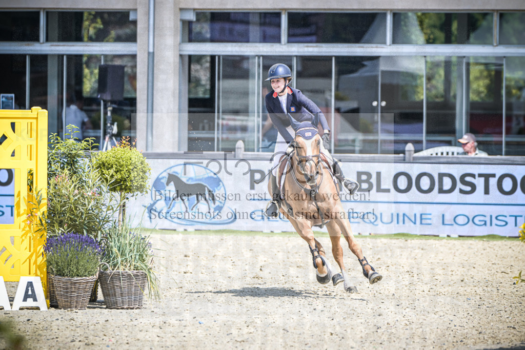 DOS_5261 | Entdecke hochwertige Reitturnierfotos von Foto Oger. Professionell, emotional und authentisch – jetzt Lieblingsmomente im Shop bestellen.Deutschlandweite Turnierfotografie. - Realisiert mit Pictrs.com