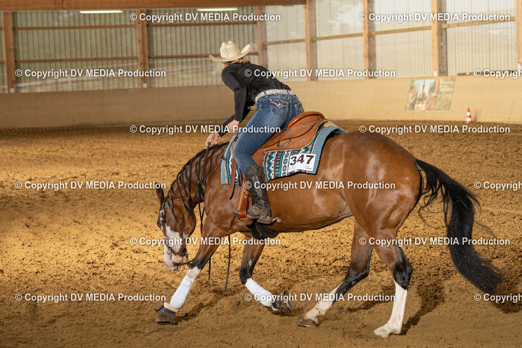 LAU01350 | dv-media-shop - Realisiert mit Pictrs.com