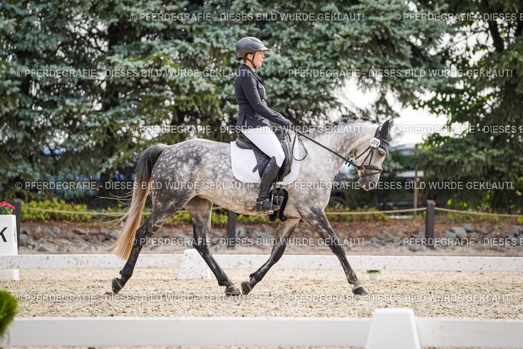 DSC07799 | Pferdegrafie