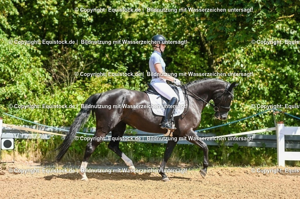20230715_02_Dressurreiterprüfung Kl.L_0018 | equistock