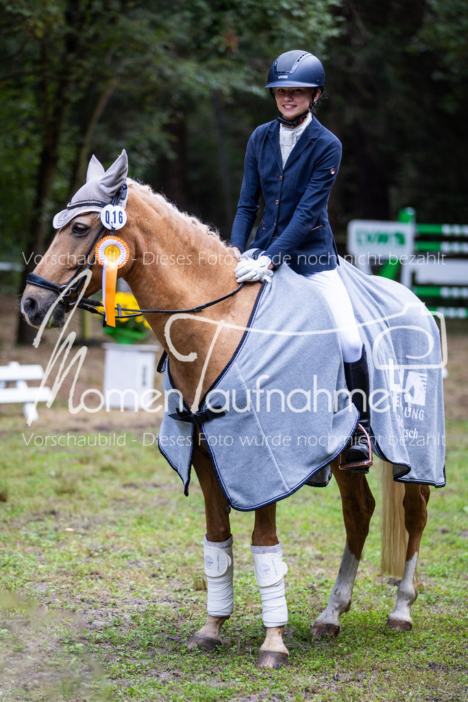 HB-A-Dressur-172 | MomenTaufnahmen Pferdesportfotos