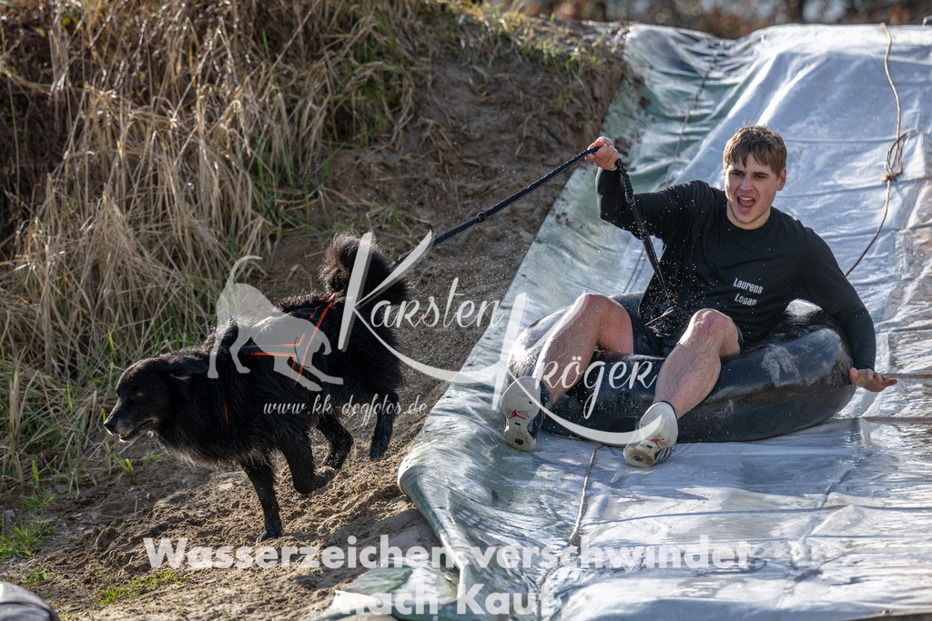 1604_ZZ93181 | kk-dogfotos
