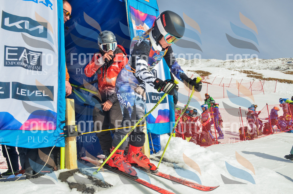 _ELE4611 | holidayphoto