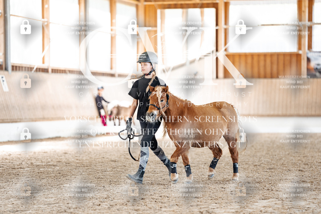 CK906972 | Turnierfotografie Pferdefotografie Trier Rheinland-Pfalz Pferdesport Reitsport Tierfotografie Sportfotografie Pferdevideo Pferdevideografie Equestrianvideography equestrianphotography  - Realized with Pictrs.com