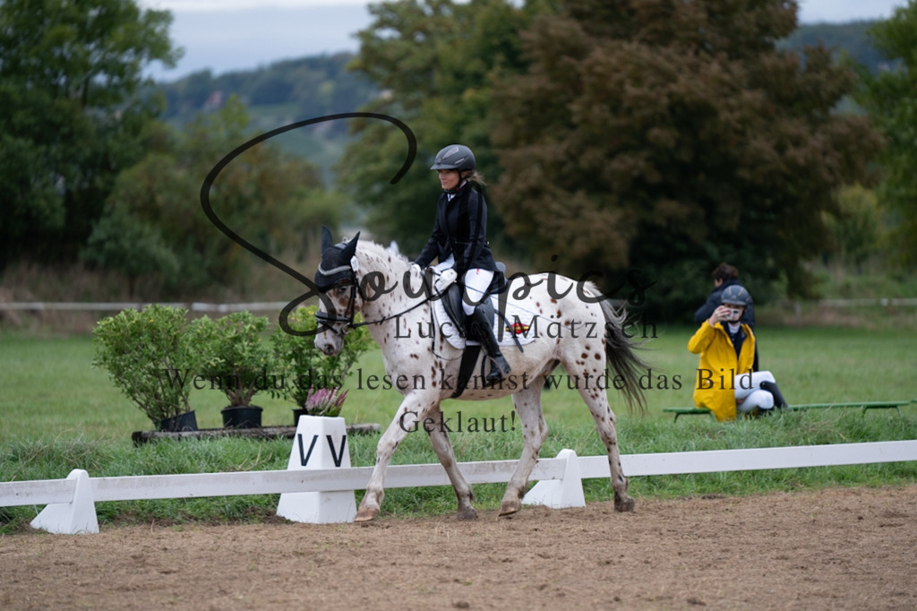 A7V04952 | Pferdefotograf