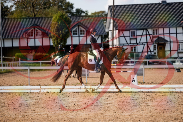 2026_10_03_Siefer-Hof_132858_Z63_90661175 | Professionelle Reitsport-, Turnier- und Eventfotografie von Robert Broda. Galerien mit ausgewählten und bearbeiteten Bildern direkt online ansehen und bestellen.