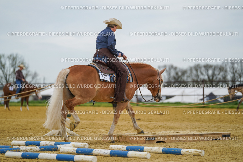 DSC02742 | Pferdegrafie