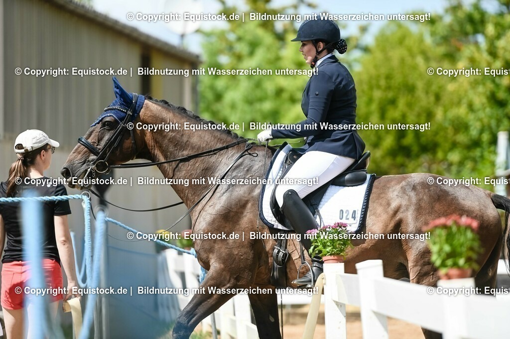 20230716_01_Dressurprüfung Kl.M_0317 | equistock