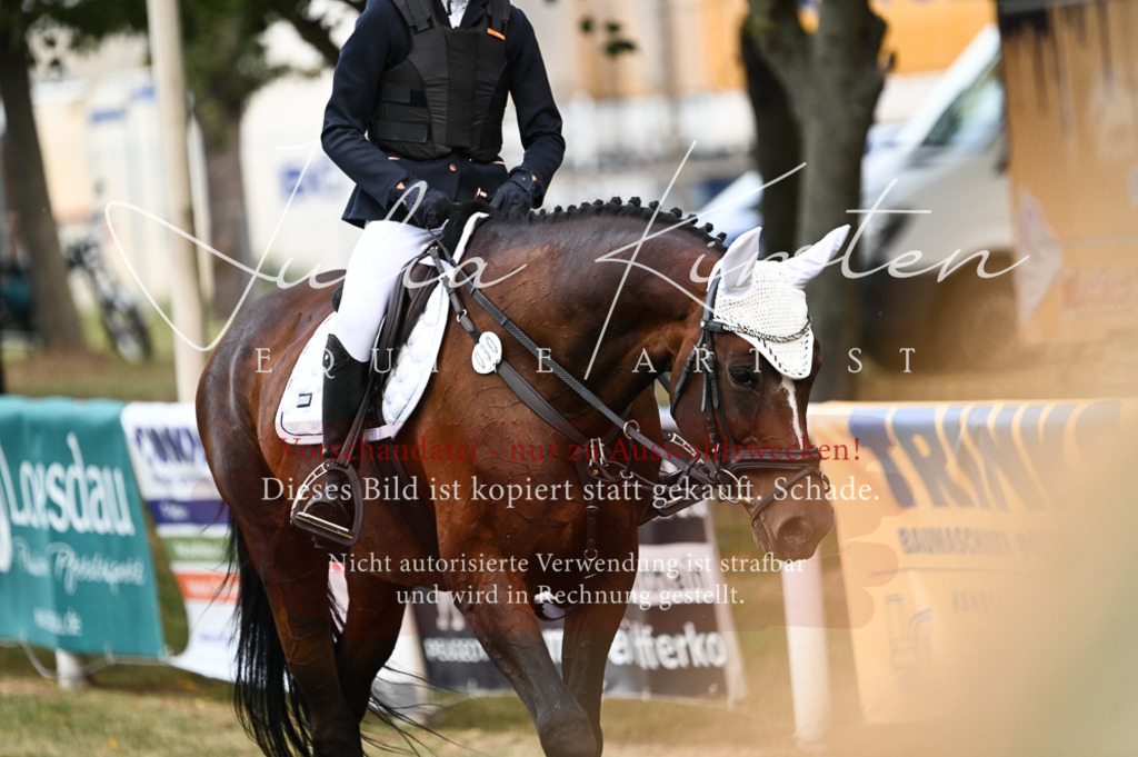DSC_5663 | Pferde- und Turnierfotografie in Westsachsen. Pferdeportraits, Auftragszeichnungen und intuitive Kunst.